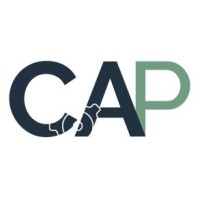 The Cyber Advisory Practice Logo