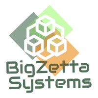 BigZetta Systems Logo
