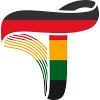 Twin Health Logo