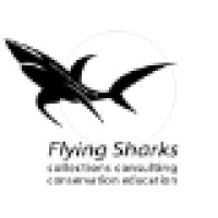 Flying Sharks Logo