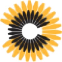 Process Automation And Engineering Solutionss Logo