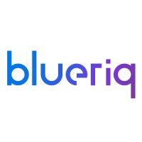 Blueriq Logo