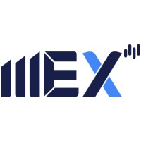 MEX Group Logo