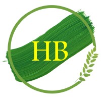 HB Associates Logo