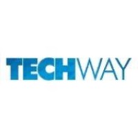 Techway Consulting INC Logo