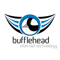 Bufflehead Internet Technology Logo