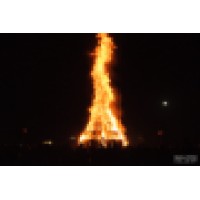 Student Bonfire Logo