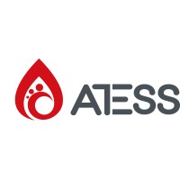 Shenzhen Atess Power Technology Co.,Ltd Logo