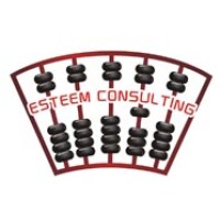 Ningbo Esteem Consulting Co, Ltd. Logo