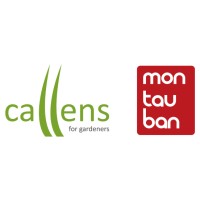 Callens Montauban Logo