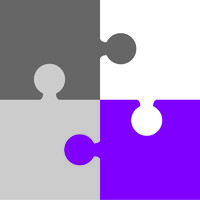 Net Solving Limited Logo