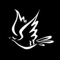 DearTime Logo