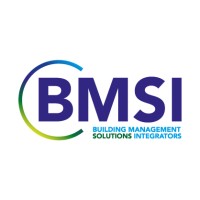 BMSI Logo