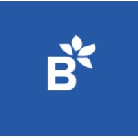 Bluprisma Logo
