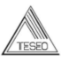 TESEO spa Logo