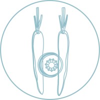 Beyond Sushi Logo