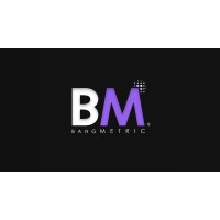 Bangmetric Services Logo