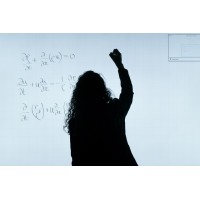 Polarsken Marketing Consulting Logo