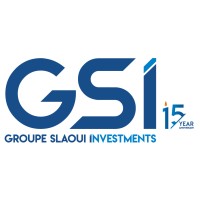 GSI Groupe Slaoui Investments Logo