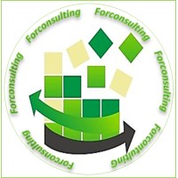Forconsulting-Formação e Consultoria Logo