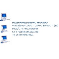 PELLEGRINELLI BRUNO ROLANDO Logo
