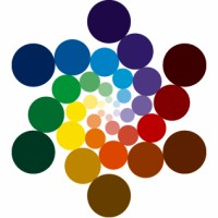 Whole Spectrum Studio Logo