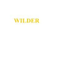 The Wilder Company, LLC Logo