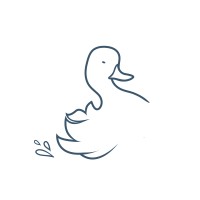 Splashing Duck Inc. Logo