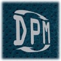 DPM SYSTEMS TECHNOLOGIES USA Logo