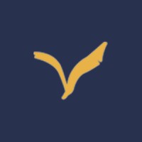 Condor Projects Logo
