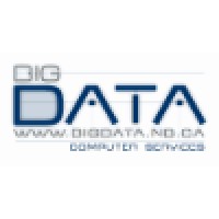 Big Data Computer Services Logo