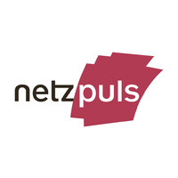 netzpuls AG | Strategie & Marketing Logo