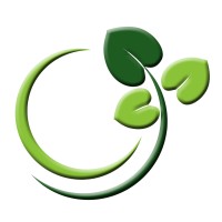 Origen Air Logo