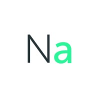 Netability Logo