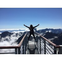 Red Zebra Business Coaching Logo