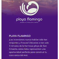 Playa Flamingo Logo