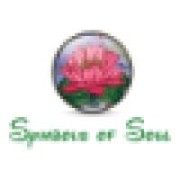 Symbols of Soul Logo