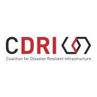 Coalition for Disaster Resilient Infrastructure Logo