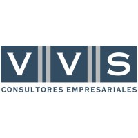 VVS CONSULTORES EMPRESARIALES Logo