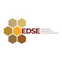EDSE Programme Logo
