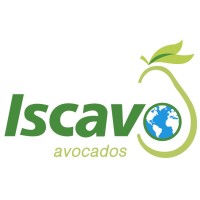 ISCAVO MÉXICO Logo