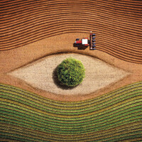 SeedFuture Logo
