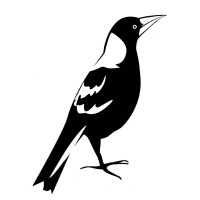 Magpie Applied Technology Logo