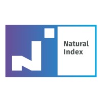 Natural Index Logo