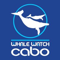 Whale Watch Cabo Logo