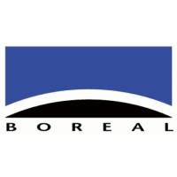 Boreal 3D Logo