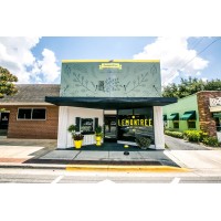 LemonTree Realty Logo