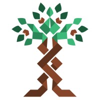 Designer Timbers International Logo