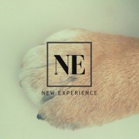 New Experience Logo