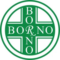 Borno Pharmacy Logo